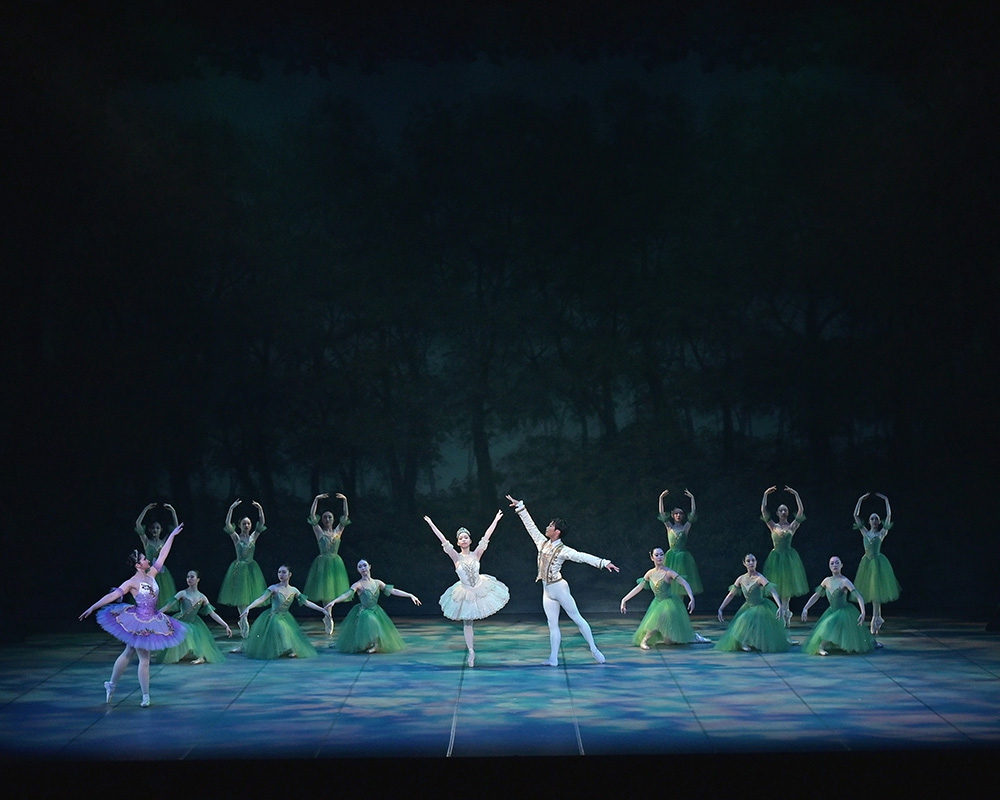 ダンス・バレエ　VHSビデオセット 817CqsDtoGL._AC_UF350,